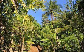 Serenity Sigiri Resort